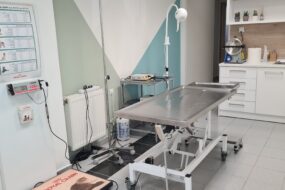 Χειρουργικό Τμήμα - κτηνιατρείο Παύλου Ελένη