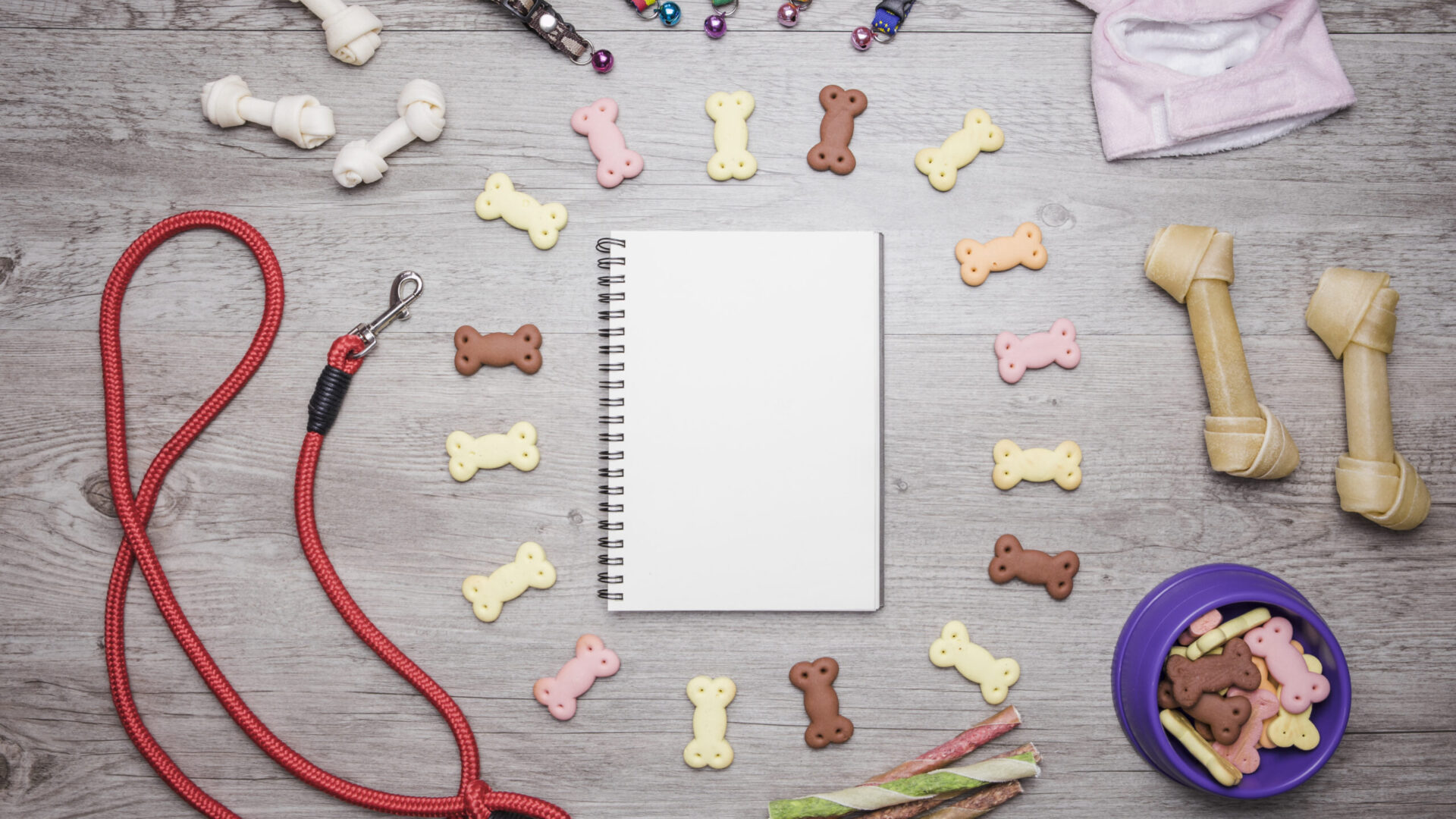 Pet shop: αξεσουάρ για σκύλους Pet shop: αξεσουάρ για σκύλους