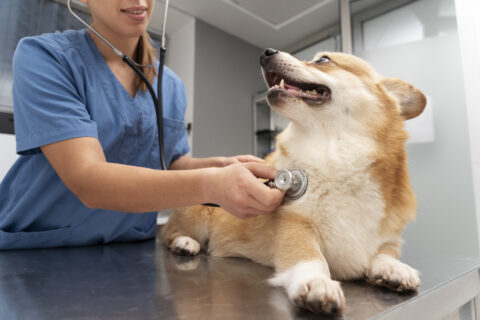 Παθολογικό