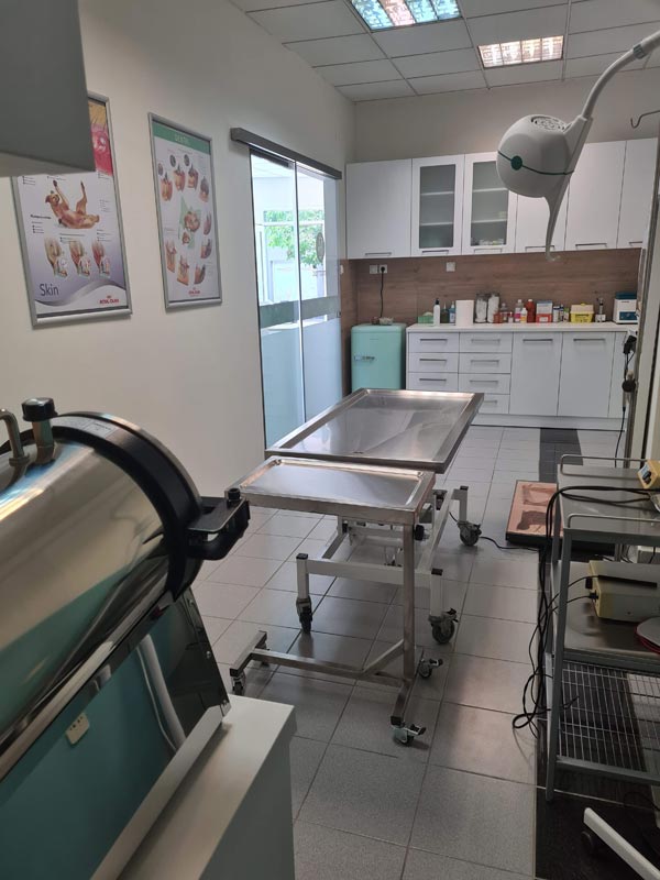 Εξεταστήριο Κτηνιατρείου | Κτηνιατρείο Ελένη Παύλου Εξεταστήριο Κτηνιατρείου | Κτηνιατρείο Ελένη Παύλου