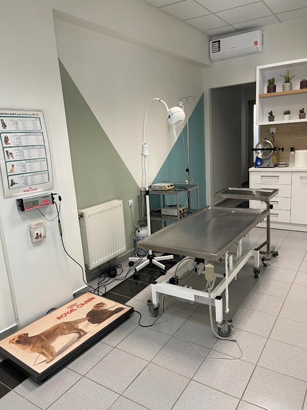Εξεταστήριο Κτηνιατρείου | Κτηνιατρείο Ελένη Παύλου Εξεταστήριο Κτηνιατρείου | Κτηνιατρείο Ελένη Παύλου