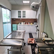 elenipavlou-vet-sc225 elenipavlou-vet-sc225